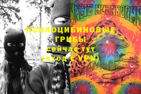 шишки Беломорск