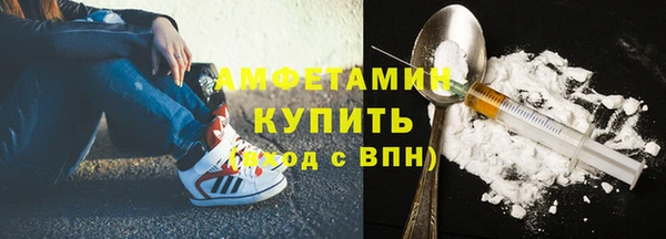 прущие грибы Белокуриха