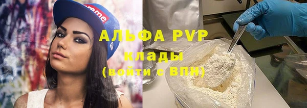 шишки Беломорск