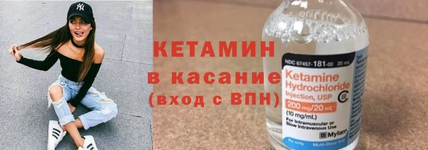 шишки Беломорск