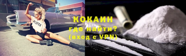 шишки Беломорск