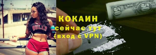 прущие грибы Белокуриха