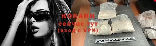 прущие грибы Белокуриха