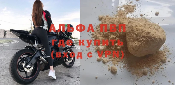 прущие грибы Белокуриха